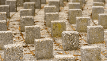 Donald Trump e a América Latina