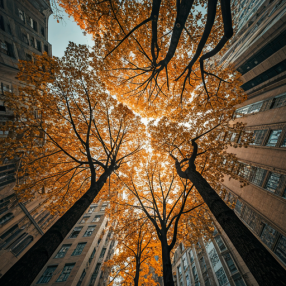 A arborização urbana como estratégia de adaptação às mudanças climáticas